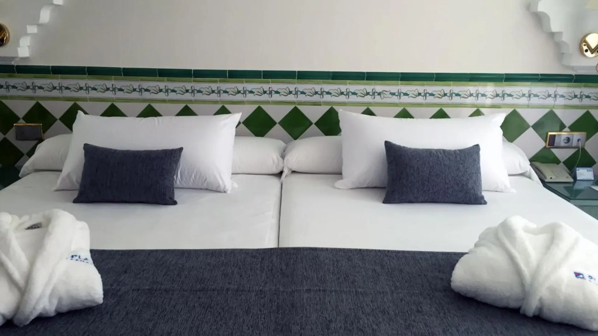 Playacalida Hotel Almunecar Spain